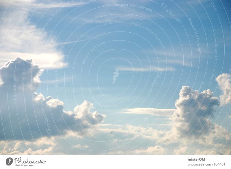 Windy Windows Wolken weiß schön Physik Himmel Ferien & Urlaub & Reisen Cirrus Mittag Nachmittag himmlisch bezaubernd Zukunft Horizont Wissenschaften Sommer blau