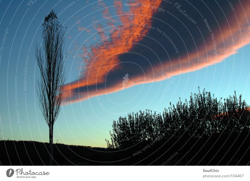 pink-sky-line Wolken Himmel rosa Linie fantastisch dunkel schön Denken Unendlichkeit bezaubernd Abend Ausdauer Neuanfang Kunst Außenaufnahme Langzeitbelichtung