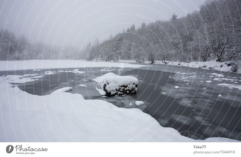 Wintersee Ferien & Urlaub & Reisen Umwelt Natur Landschaft Wasser Eis Frost Hagel Schnee Schneefall ästhetisch authentisch Gefühle Farbfoto Gedeckte Farben