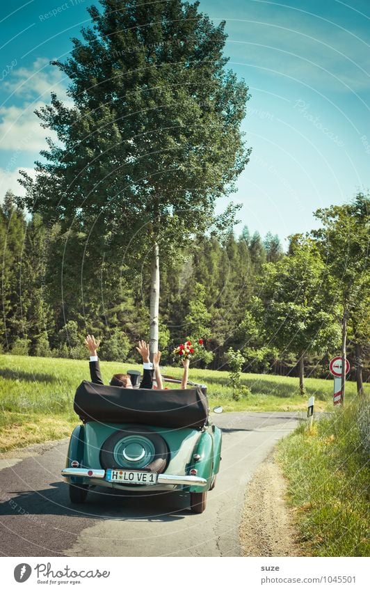 Fahrt ins Glück Feste & Feiern Hochzeit Mensch Frau Erwachsene Mann Paar Arme Hand 2 Umwelt Natur Landschaft Schönes Wetter Baum Straße Fahrzeug PKW Oldtimer