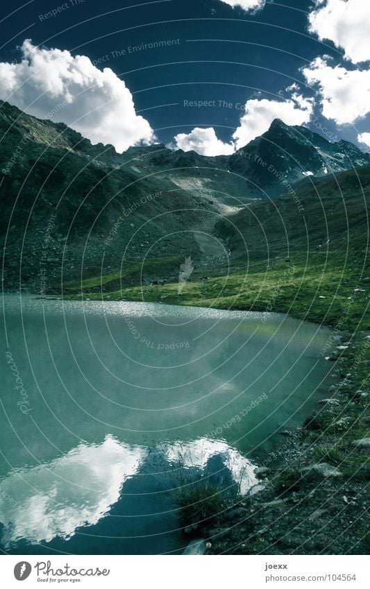 Berge blaugrün Gebirgssee Berge u. Gebirge durstig Gletscher Gras Kuhherde See Seeufer Reflexion & Spiegelung Wasserspiegelung Wiese gletschertal grasfresser