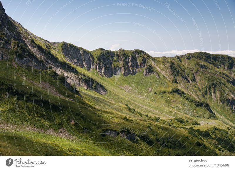 bis zum Himmel Berge u. Gebirge Umwelt Natur Landschaft Wolkenloser Himmel Sommer Schönes Wetter Pflanze Sträucher Hügel Felsen Gipfel krabbeln blau grün