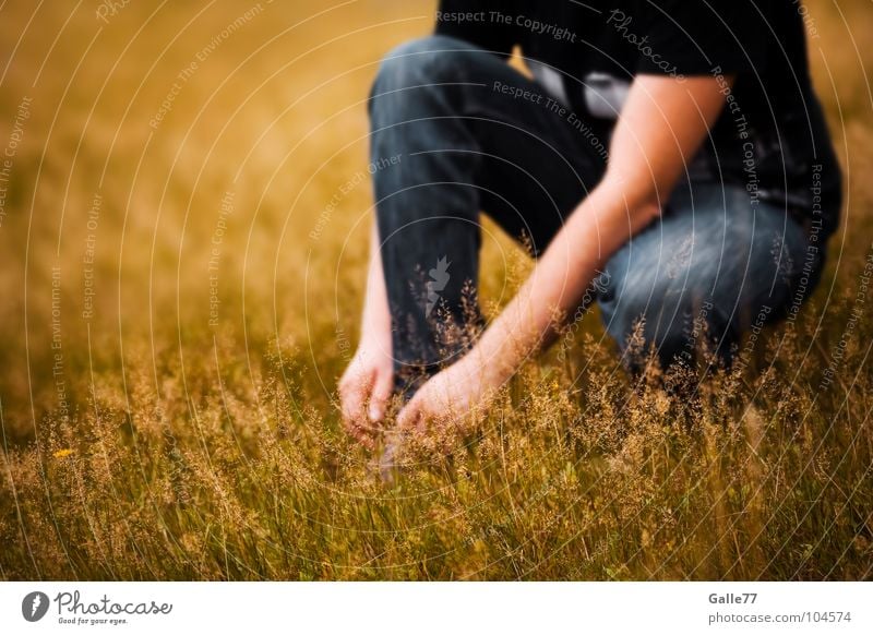 gleich gehts weiter ... Wiese Sommer Pause Schuhe binden hocken atmen Physik angenehm sommerlich gehockt Wärme