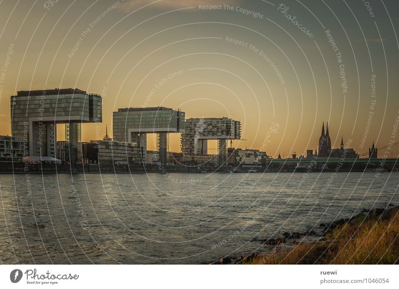 Kranhäuser und Dom Ferien & Urlaub & Reisen Sommer Büro Schönes Wetter Flussufer Köln Stadt Stadtzentrum Hochhaus Bauwerk Gebäude Architektur Sehenswürdigkeit