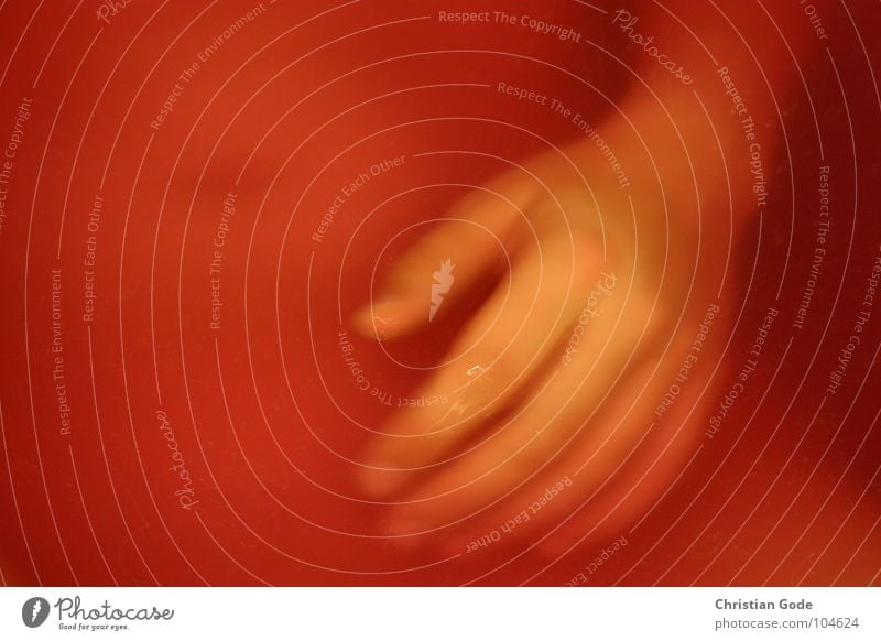 Embryo rot Hand Leiche Im Wasser treiben Erholung Unterwasseraufnahme Geburt Bad Leben und Tod Blut Schwimmen & Baden
