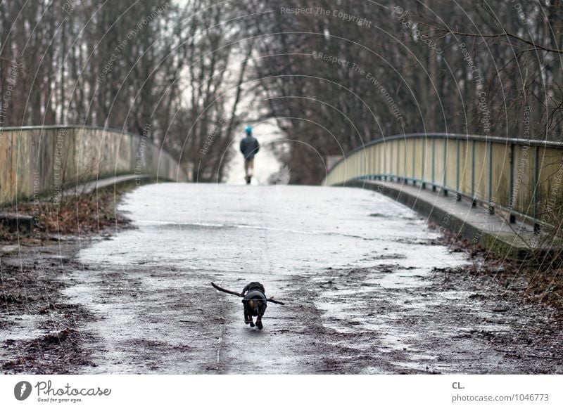 hachiko Mensch Leben 1 Umwelt Natur Landschaft Herbst Winter Wetter schlechtes Wetter Baum Wald Brücke Verkehrswege Fußgänger Wege & Pfade Tier Haustier Hund