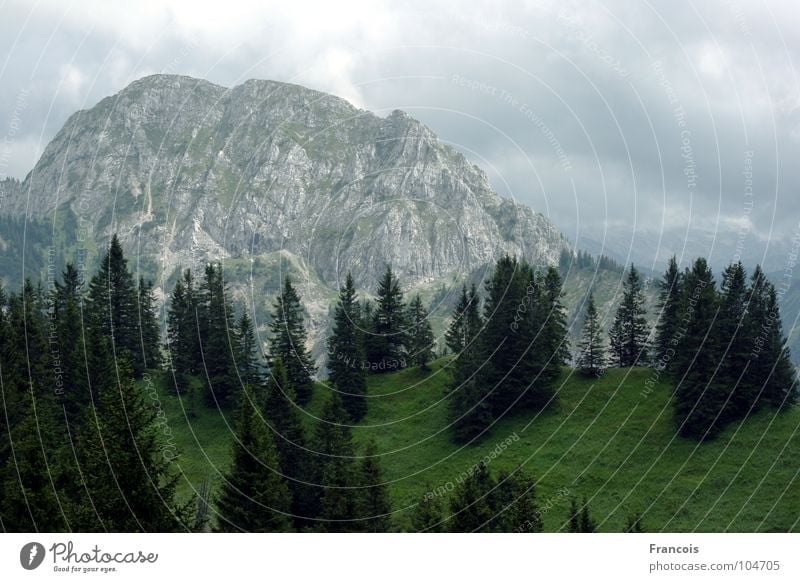 Tegelberg 1 alpin Bayern Allgäu Berge u. Gebirge Alpen