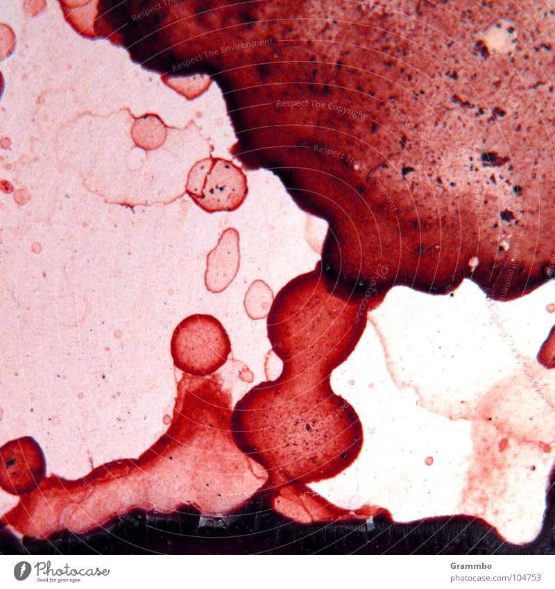 Eruption Lava Physik Makroaufnahme Nahaufnahme Blut Blase Wärme Illusion Fleck dreckig hier könnte mal wieder sauber gemacht werden