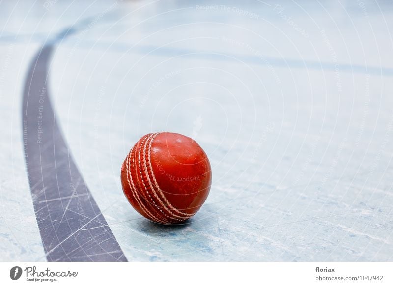 cricketball & linie Freizeit & Hobby Spielen Sport Fitness Sport-Training Ballsport Leder liegen ästhetisch kalt rot Cricket DW DW Sport Deutsche Welle