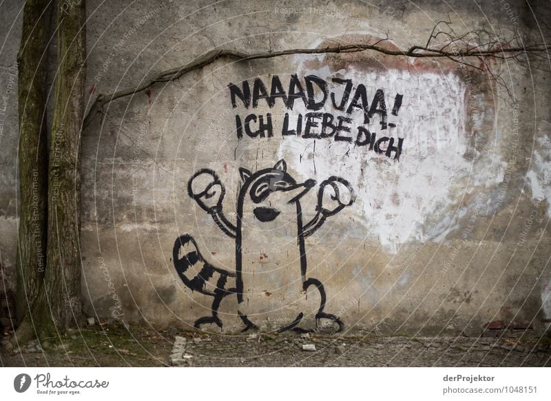 Liebeserklärung Ferien & Urlaub & Reisen Tourismus Sightseeing Städtereise Umwelt Urelemente Stadtzentrum Mauer Wand Tier Wildtier Zeichen Schriftzeichen