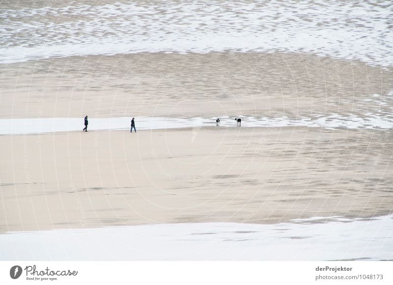 Strandspaziergang bei Ebbe in Cornwall Ferien & Urlaub & Reisen Tourismus Ausflug Ferne Freiheit Meer wandern Umwelt Natur Landschaft Pflanze schlechtes Wetter