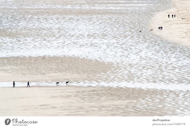 Menschen am Strand Ferien & Urlaub & Reisen Tourismus Ausflug Abenteuer Ferne Freiheit Meer Umwelt Natur Landschaft Pflanze Tier Urelemente Frühling