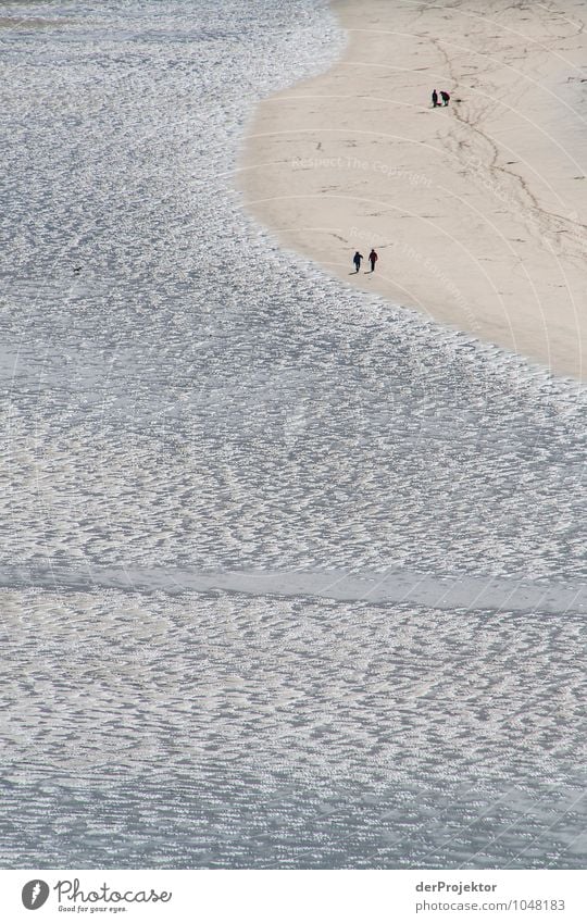 Strandspaziergang bei Ebbe Ferien & Urlaub & Reisen Tourismus Ausflug Abenteuer Ferne Freiheit Meer wandern Mensch Paar Umwelt Natur Landschaft Pflanze Frühling