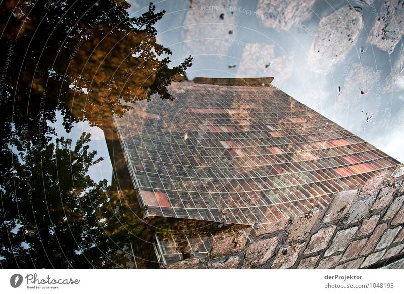 Steine im Fenster Ferien & Urlaub & Reisen Tourismus Ausflug Sightseeing Städtereise Umwelt Blume Hauptstadt Stadtzentrum Hochhaus Fassade Sehenswürdigkeit