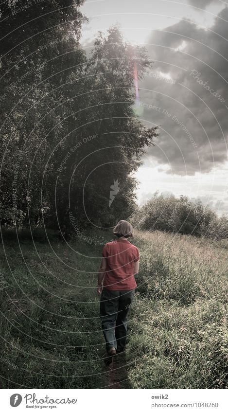 Laufsteg Frau Erwachsene 1 Mensch Umwelt Natur Landschaft Pflanze Himmel Wolken Horizont Klima Wetter Schönes Wetter Baum Gras Sträucher Wege & Pfade gehen