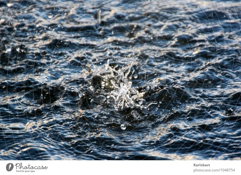 Ein Tropfen Tausend Teile schön Gesundheit harmonisch Erholung ruhig Meditation Schwimmen & Baden Wellen Taufe Natur Wasser Wassertropfen Seeufer Flussufer