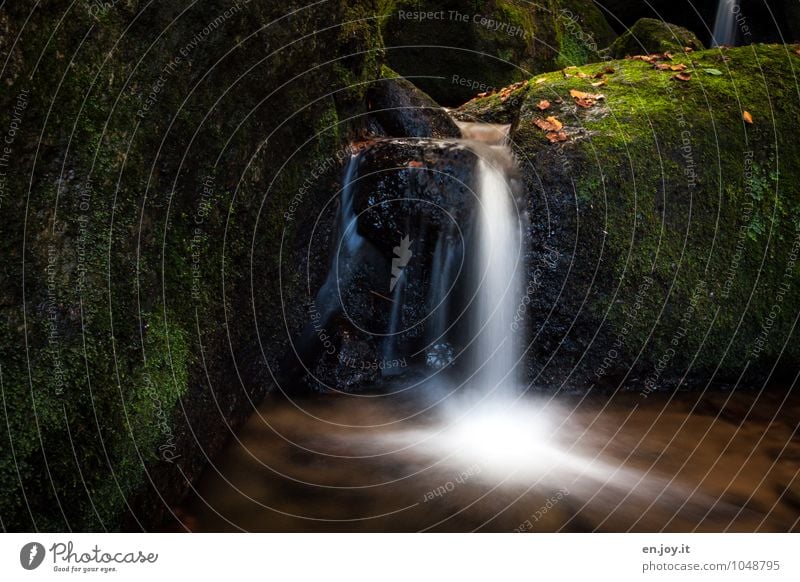 vermoost Umwelt Natur Landschaft Pflanze Wasser Herbst Moos Felsen Wasserfall Gertelbachfälle dunkel braun grün weiß Romantik Traurigkeit Abenteuer erleben