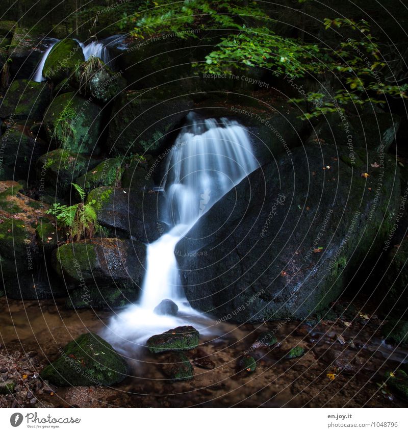 Ein Bächlein fließt im Walde Umwelt Natur Landschaft Wasser Moos Farn Wasserfall Gertelbacher Wasserfälle Gertelbachfälle dunkel braun grün weiß Romantik