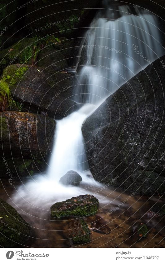 Wasserwerk Leben Abenteuer Umwelt Natur Landschaft Moos Farn Wald Felsen Wasserfall Gertelbachfälle Gertelbacher Wasserfälle dunkel grün schwarz weiß Reinheit