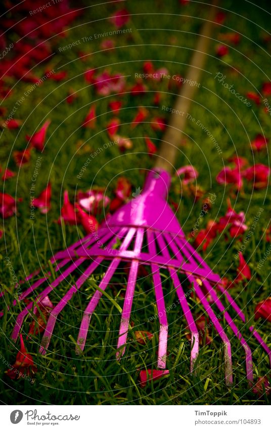 Bei dir harkt's wohl! Harke Gras Blüte grün rot rosa Rechen Gartenarbeit Gartengeräte Gärtner Gärtnerei Sommer Frühling grasgrün Holz Eisen Blech Park Handwerk