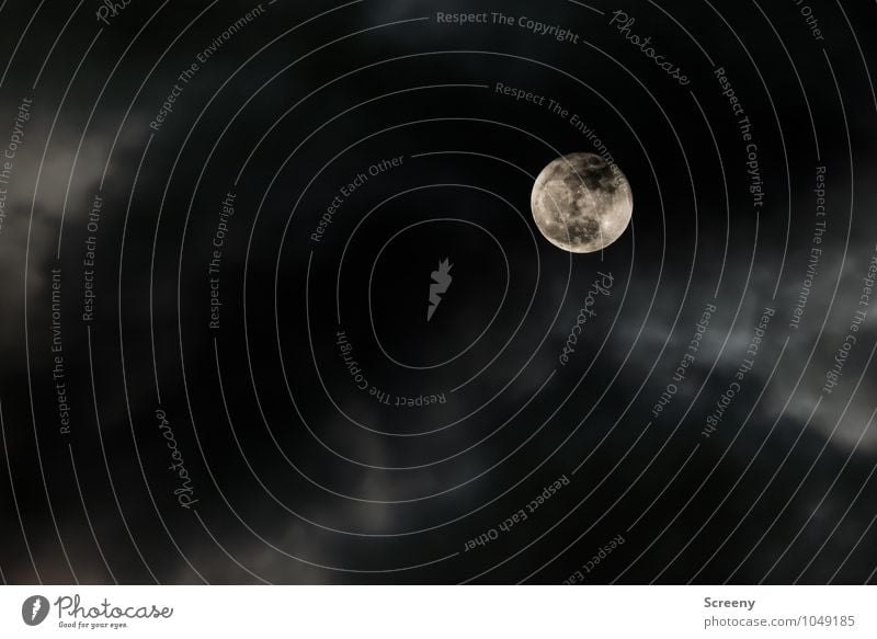 Mond in Wolken Natur Himmel Nachthimmel Vollmond leuchten Ferne hoch rund Farbfoto Außenaufnahme Menschenleer Starke Tiefenschärfe