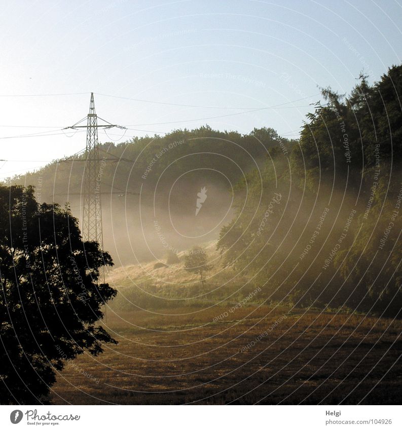 im Frühtau zu Berge.... Morgen Nebel Hochnebel Morgennebel Sonnenaufgang Feld Wiese Baum Strommast Licht Blatt Nebelbank braun grün gelb weiß Arbeitsweg