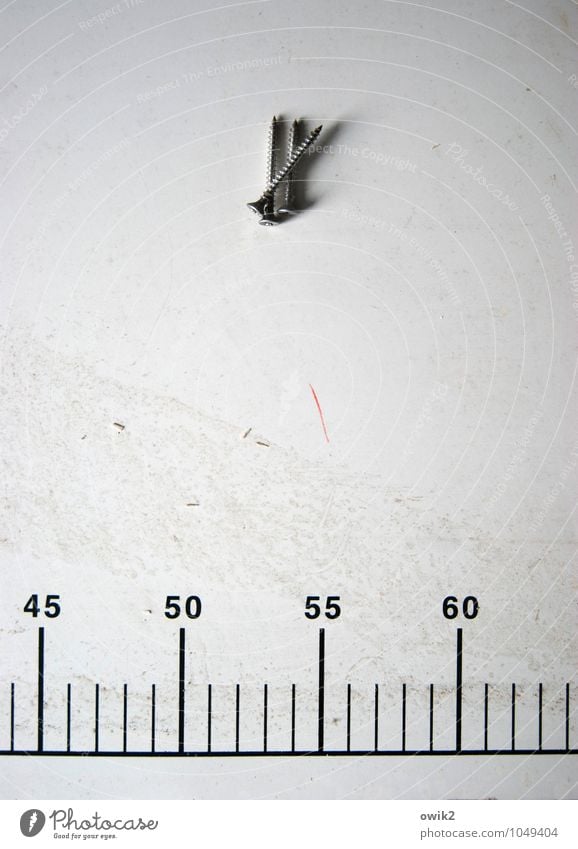 TÜV Messinstrument Skala Ziffern & Zahlen liegen klein nah Schraube Holzschraube 3 Strukturen & Formen Oberfläche Glätte messen Messung Kontrolle Farbfoto