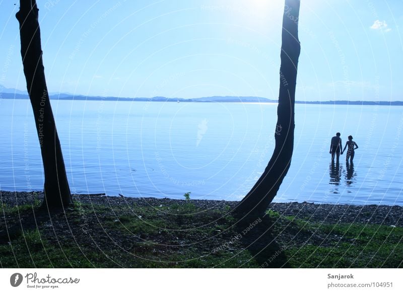 Frisch verliebt Chiemsee See Meer Wellen Reflexion & Spiegelung Wolken Bayern Sommer Ferien & Urlaub & Reisen Liebespaar kalt nass Hand in Hand Baum Wasser blau