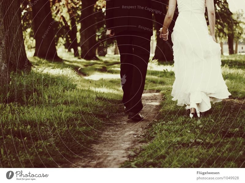 Dreamday schön Feste & Feiern Hochzeit Paar Partner 2 Mensch Liebe Ehe Ehepaar Ehefrau Ehemann Ehering Ehekrise Ehekarussell traumhochzeit Verbundenheit