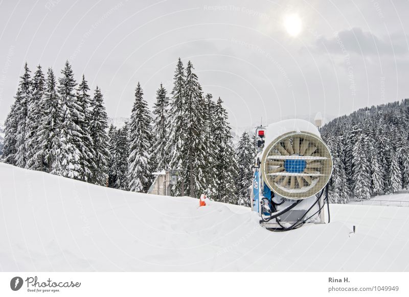 Nachhilfe II Umwelt Natur Landschaft Wolken Winter Alpen Berge u. Gebirge hell Zugspitze Schneekanone Tanne Farbfoto Gedeckte Farben Außenaufnahme Menschenleer