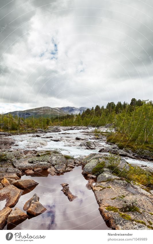 Reinheimen Ferien & Urlaub & Reisen Abenteuer Freiheit Berge u. Gebirge Natur Landschaft Urelemente Himmel Wolken Sommer Klima Wald Felsen Fluss natürlich