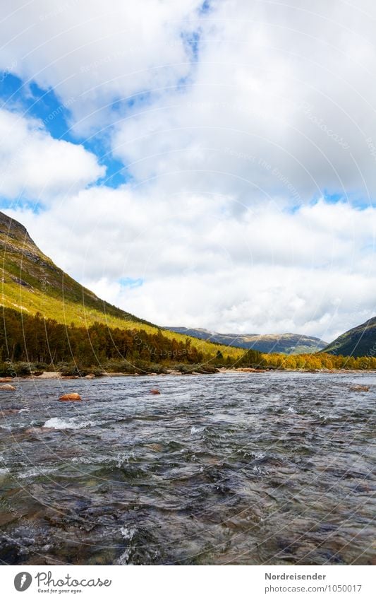 Reinheimen Freiheit Natur Landschaft Wasser Himmel Wolken Sommer Klima Wald Berge u. Gebirge Fluss Flüssigkeit Fernweh Einsamkeit einzigartig Nationalpark