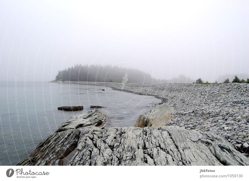 GRAU IN GRAU Umwelt Natur Landschaft Urelemente Wasser Himmel Wolken Horizont Sommer Herbst Klima schlechtes Wetter Nebel Pflanze Baum Küste Seeufer Meer