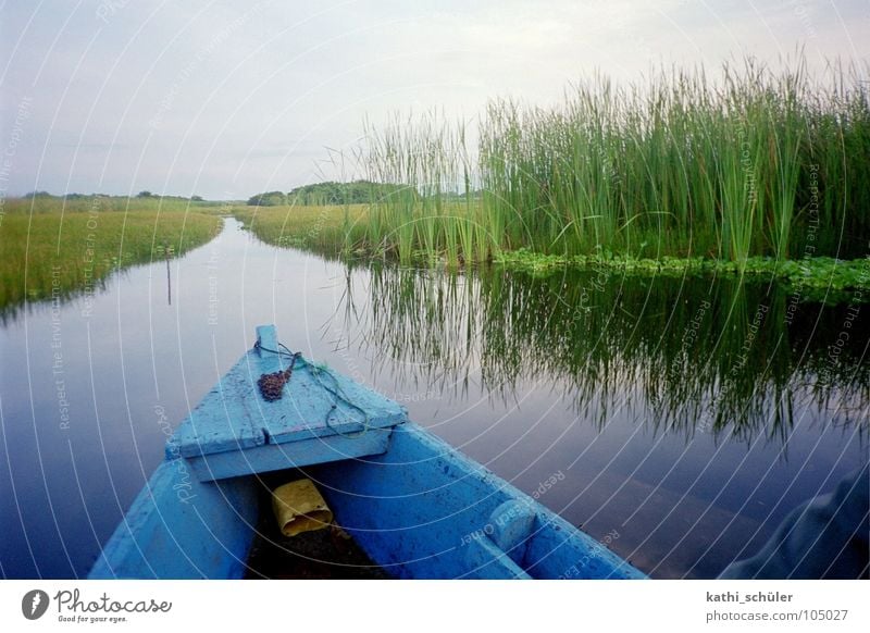 Bootsfahrt Gras Wasserfahrzeug Horizont Guatemala Mittelamerika blau Fluss Natur Küste