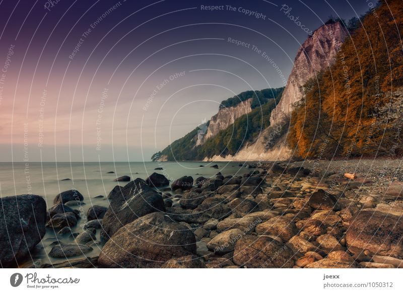 Liebe, Glaube, Hoffnung Landschaft Himmel Schönes Wetter Küste Ostsee Stein alt hoch schön braun grün Farbfoto Gedeckte Farben mehrfarbig Außenaufnahme