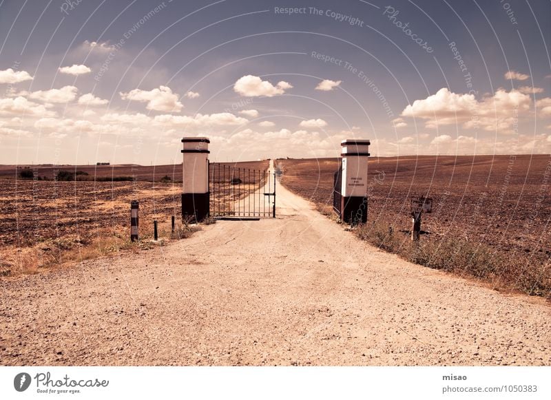 Puerta blanca Ausflug Ferne Umwelt Natur Landschaft Erde Sand Himmel Wolken Sommer Feld Wege & Pfade Traktor natürlich braun Leben Beginn Freiheit ruhig