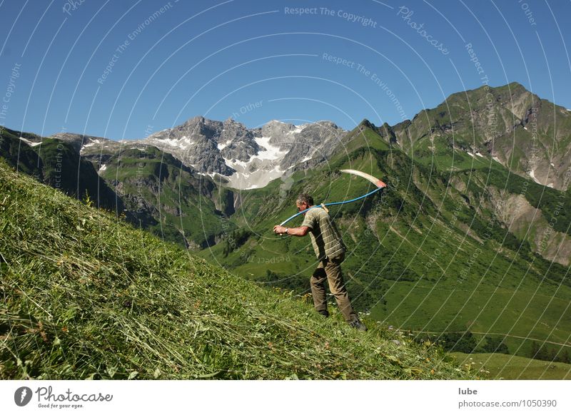 Bergbauer Umwelt Natur Landschaft Pflanze Sommer Schönes Wetter Wiese Alpen Berge u. Gebirge Gipfel Arbeit & Erwerbstätigkeit mähen Sense Bregenzerwald