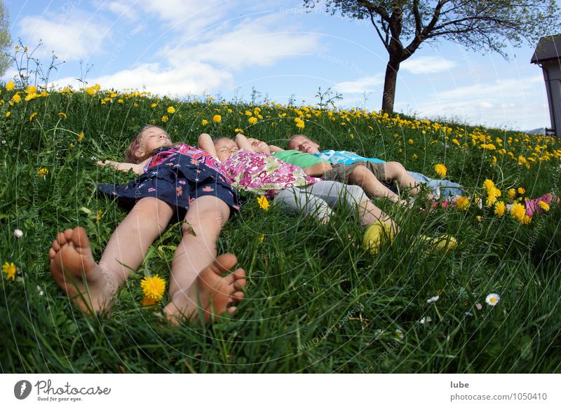 In der Wiese liegen Glück harmonisch Wohlgefühl Zufriedenheit Erholung ruhig Mensch Geschwister Freundschaft Kindheit 4 8-13 Jahre Natur Pflanze Frühling