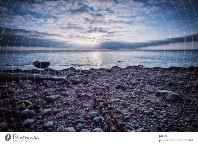 Loslassen Natur Wasser Himmel Wolken Sonnenlicht Schönes Wetter Küste Ostsee alt Unendlichkeit hell schön blau braun grau weiß Optimismus Gelassenheit ruhig