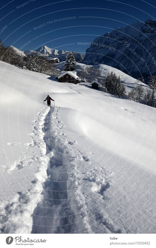 Schneeschuhwanderer Ferien & Urlaub & Reisen Tourismus Ferne Freiheit Winter Winterurlaub Berge u. Gebirge wandern Wintersport Umwelt Natur Landschaft