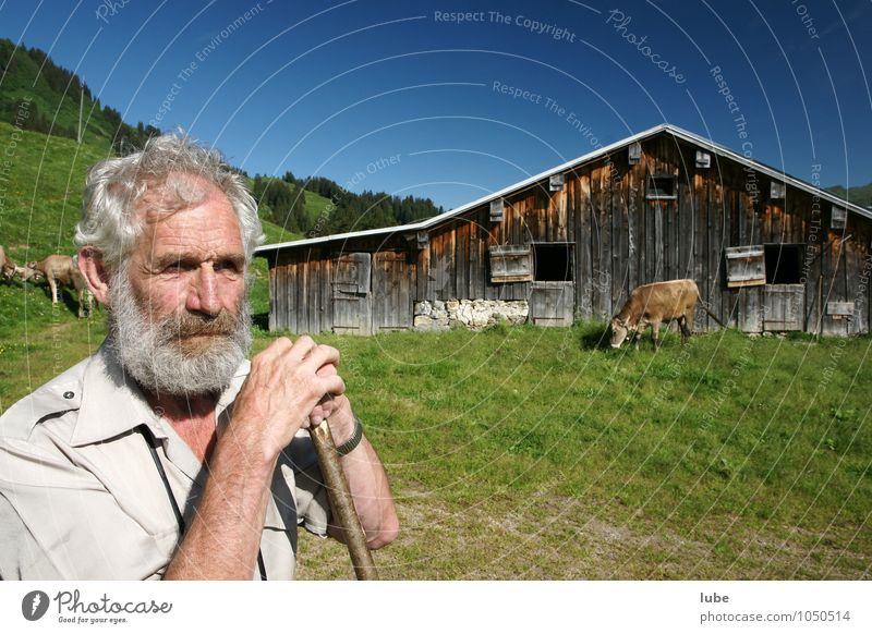 Bergbauer 2 Landwirtschaft Forstwirtschaft maskulin Männlicher Senior Mann Großvater 1 Mensch 60 und älter Umwelt Natur Landschaft Sommer Berge u. Gebirge alt