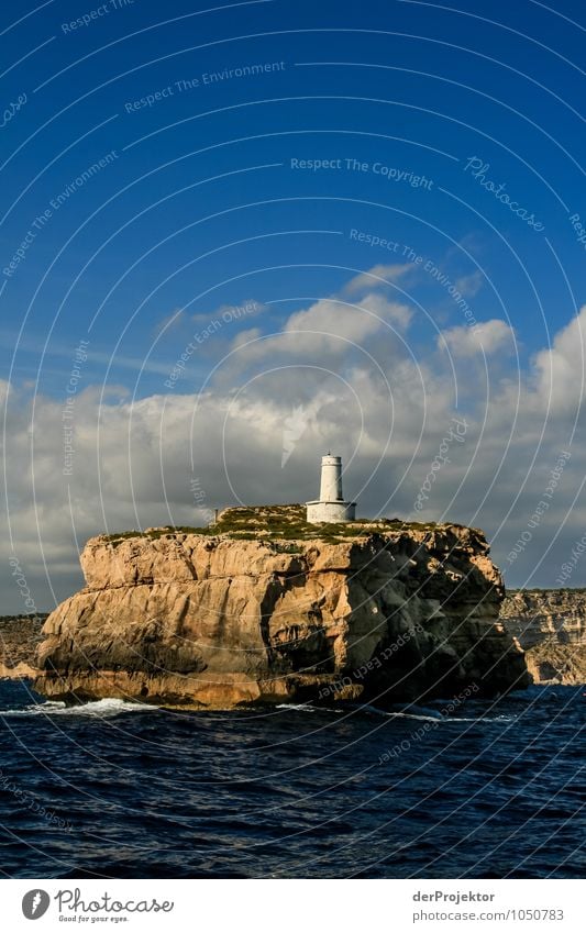 Mallorca von seiner schönsten Seite 25 - El Torro Santa Ponca Ferien & Urlaub & Reisen Tourismus Ausflug Ferne Freiheit Umwelt Natur Landschaft Pflanze