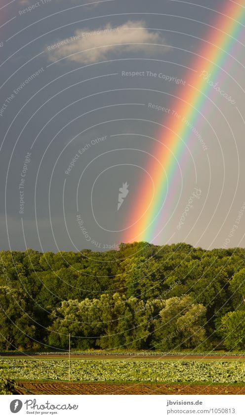 Foto oder Goldtopf? Foto oder... ach egal Foto... Umwelt Natur Landschaft Luft Himmel Wolken Wasser blau grün violett orange rot türkis Reichtum Photocase Ende