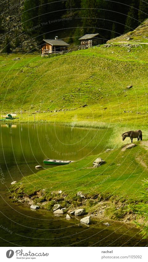 Zeitsprung Farbfoto mehrfarbig Außenaufnahme Menschenleer Tag Reflexion & Spiegelung Wohlgefühl Erholung ruhig Ferien & Urlaub & Reisen Sommerurlaub