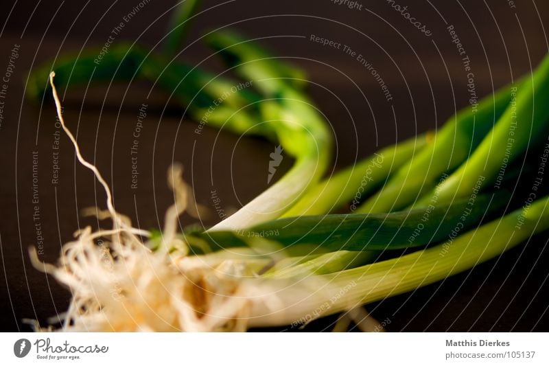 FrÜHLINGSZWIEBELN II Frühling Frühlingszwiebel Küche kochen & garen Kräuter & Gewürze verfeinern lecker Gesundheit Geschmackssinn grün Ernährung Sommer Mahlzeit