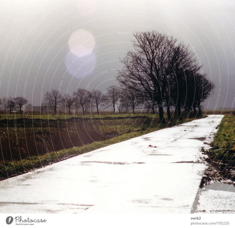 ... und Fuge d-moll Umwelt Natur Landschaft Himmel Horizont Klima Schönes Wetter Baum Feld Verkehr Verkehrswege Straße leuchten Traurigkeit hell gerade