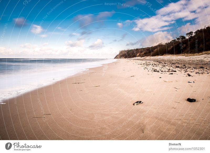 Küste Landschaft Ostsee blau braun schwarz weiß Mecklenburg-Vorpommern Rügen Meer Strand Sandstrand Baum Wolken Horizont Farbfoto Menschenleer