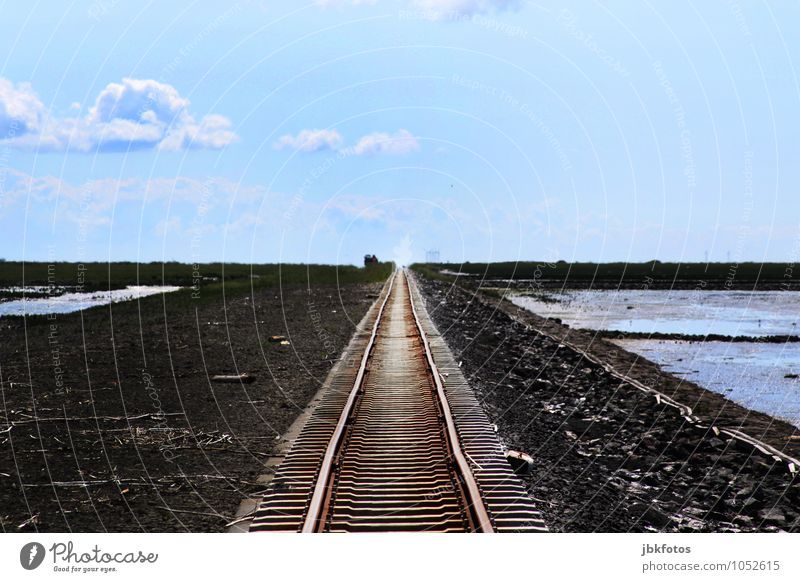 Kein Ende in Sicht Umwelt Natur Landschaft Urelemente Wasser Himmel Horizont Sonne Sommer Klima Schönes Wetter Wärme Unendlichkeit Lohre Schmalspurbahn