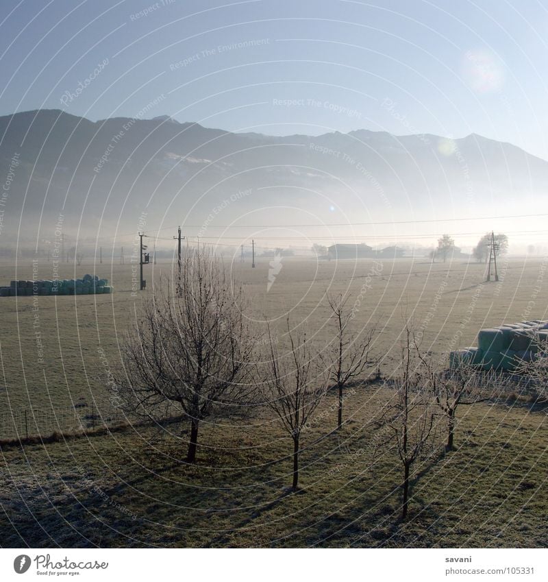 Morgenstimmung ruhig Sonne Winter Berge u. Gebirge Natur Landschaft Schönes Wetter Nebel Baum Feld kalt Einsamkeit Österreich Morgennebel Strommast Tal Frost