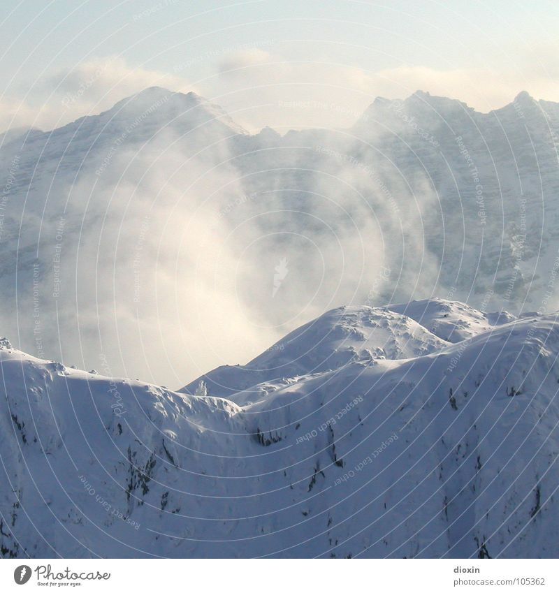 Stille Farbfoto Außenaufnahme Menschenleer Textfreiraum unten Schatten harmonisch Wohlgefühl Zufriedenheit Sinnesorgane Erholung ruhig Winter Schnee